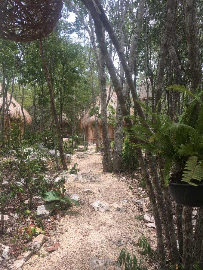 Bed and breakfast Aldea Yuyu