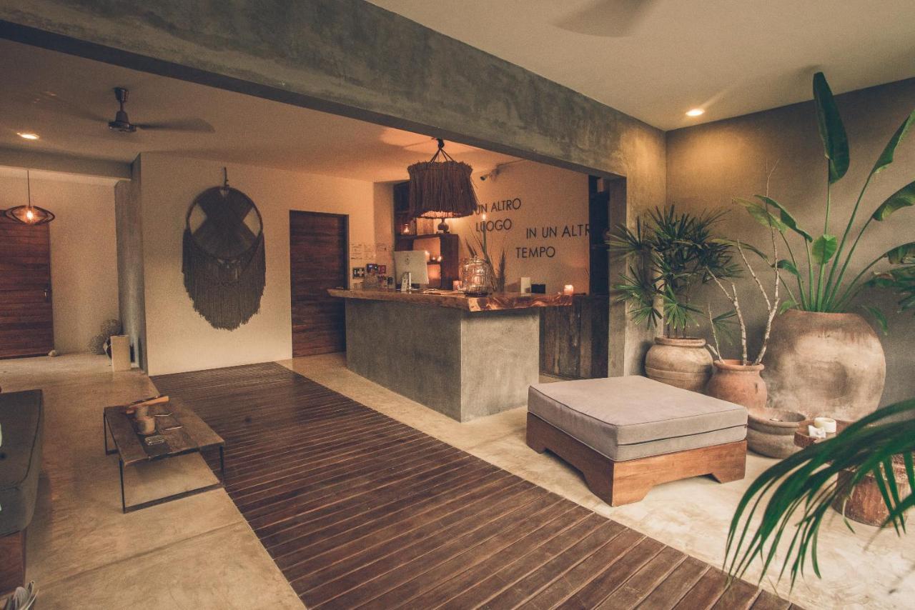 Panacea 4*