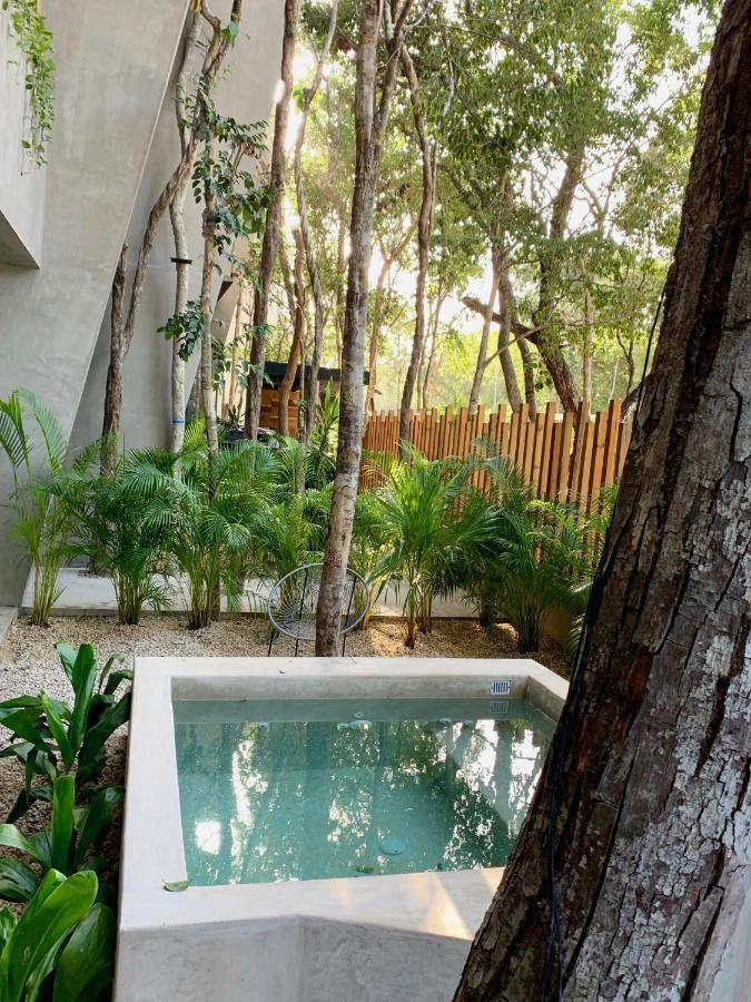 Arba - Aldea Zama Tulum