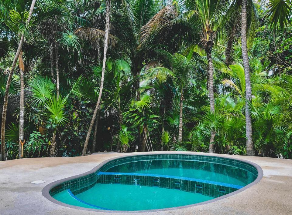 Сasa de vacaciones Beachfront Bungalows- Soliman Bay *