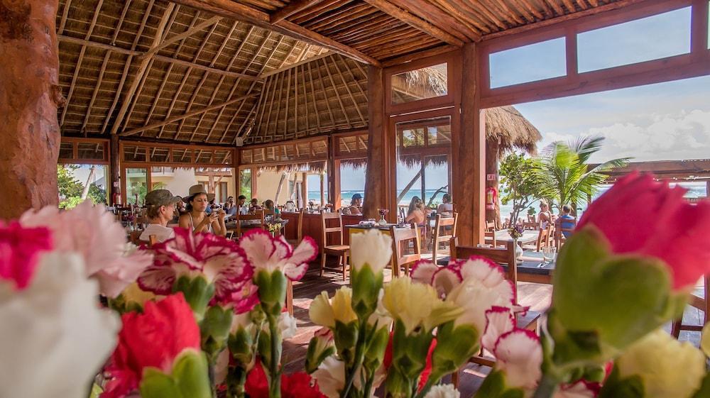 La Zebra Colibri Boutique Hotel