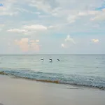 Lamat Tulum