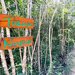 Tulum Nueve