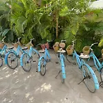 Loto Tulum