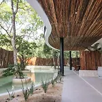 Moma Tulum