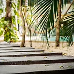 Casai - Private-Pool Hideaway In La Veleta\'S Jungle