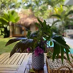 Luxury Private Villas , Private Pool, Private Garden, Jacuzzi, 24Hours Security