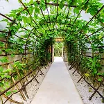 Eco-Sustainable Luxury Between Beach Hotspots & Tulum Town By Stella Rentals