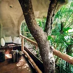 Orchid House Tulum Jungle