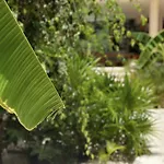 Ophelia Tulum Condo In Aldea Zama