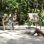 Zen Canto Villa Tuuch :: May The Jungle Be With You