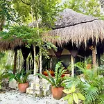 Glamping Bunga Lotus