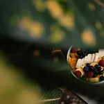 Botanica Tulum