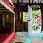 Tree House Tulum