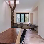 Jungle Serenity
