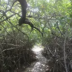 Cenote Encantado Tulum Eco-Glamping Camp