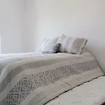 Departamento Colibrí