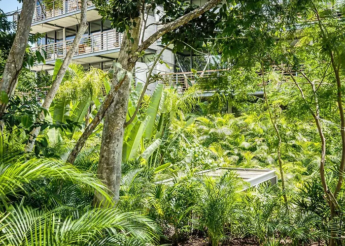 Divine 1Br Ph Tulum W Private Pool, Cenote, Gym