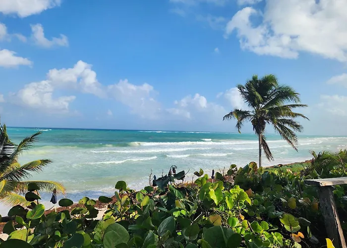 Casa De Tres Recamaras Con Alberca Compartida Con Hermosas Vistas A La Jungla Y Cerca De Todo, Ruinas, Cenotes, Laguna, Playa, Con Cochera Privada