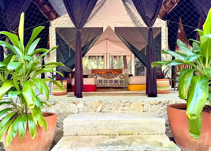 Glamping Bunga Lotus
