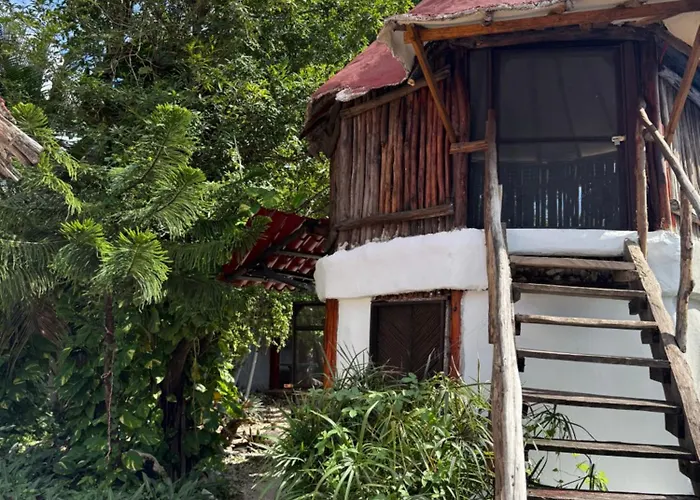 Tree House Tulum