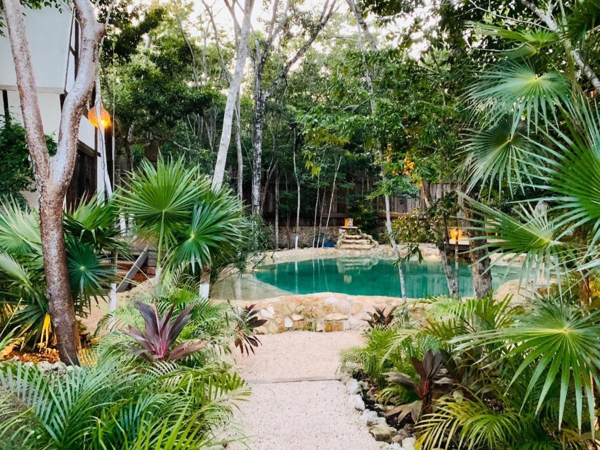 Nahouse Jungle