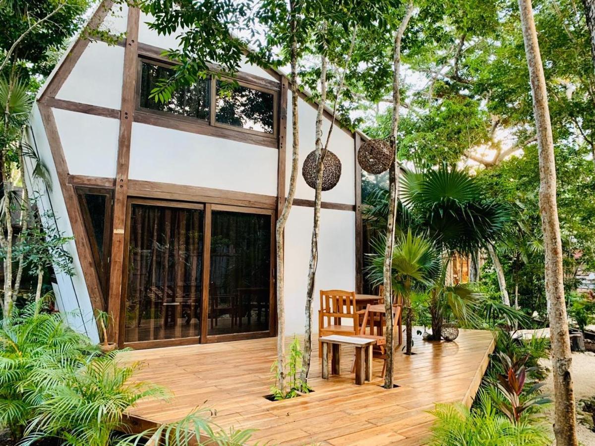 Nahouse Jungle Lodge