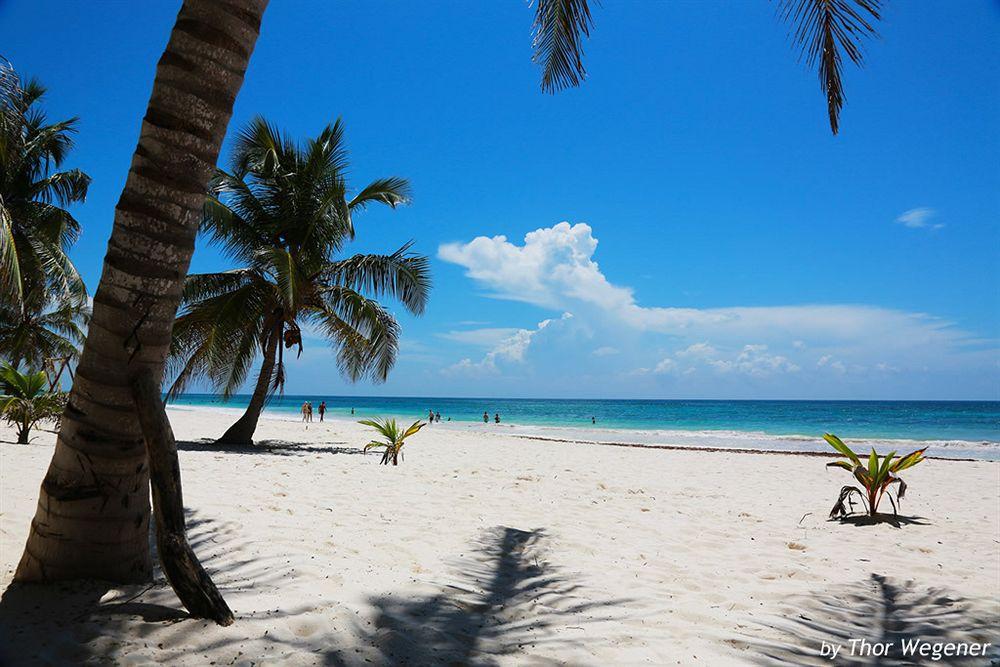 Tulum- & 4*