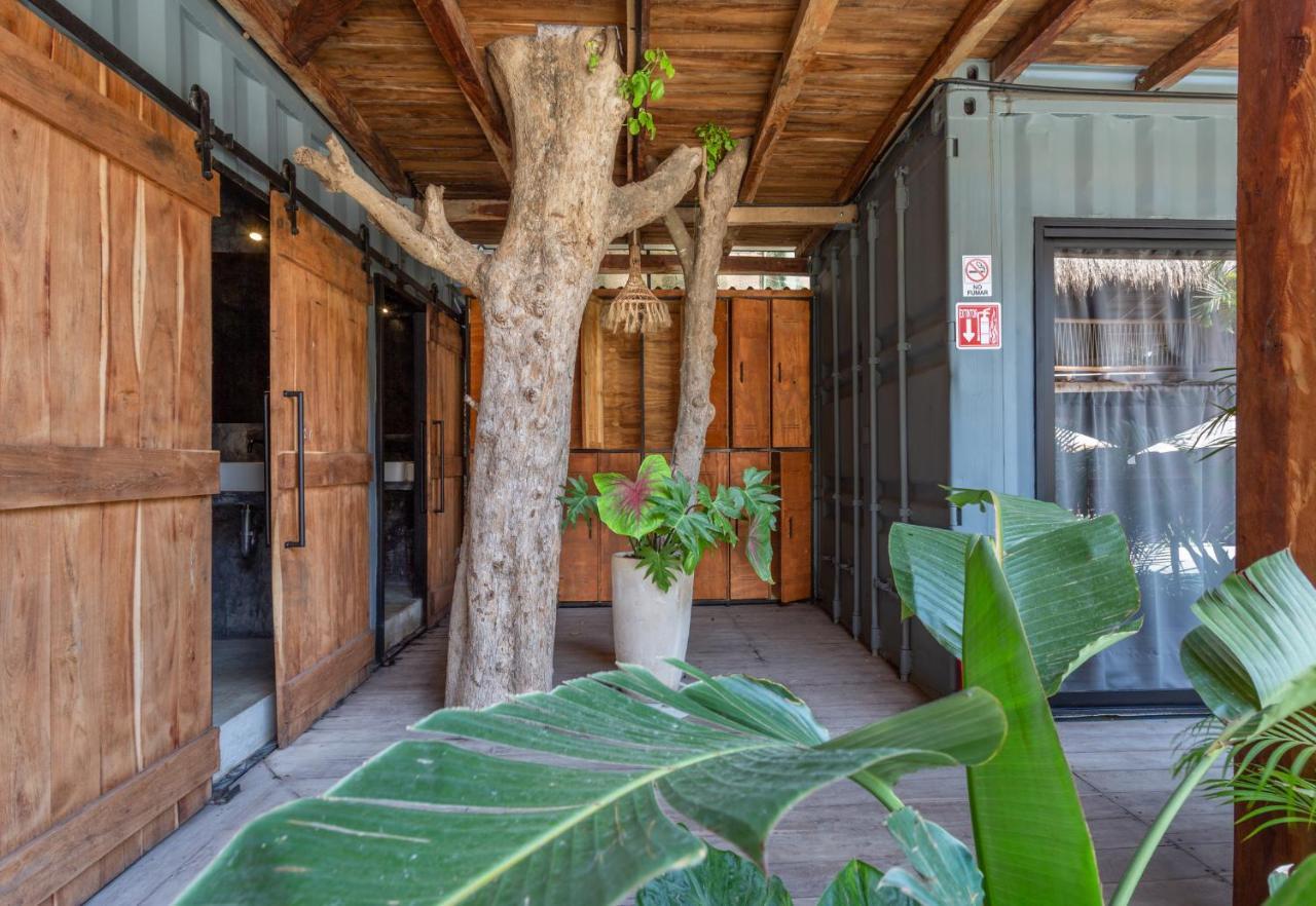 Hostal Meteora & Coffeehouse Tulum