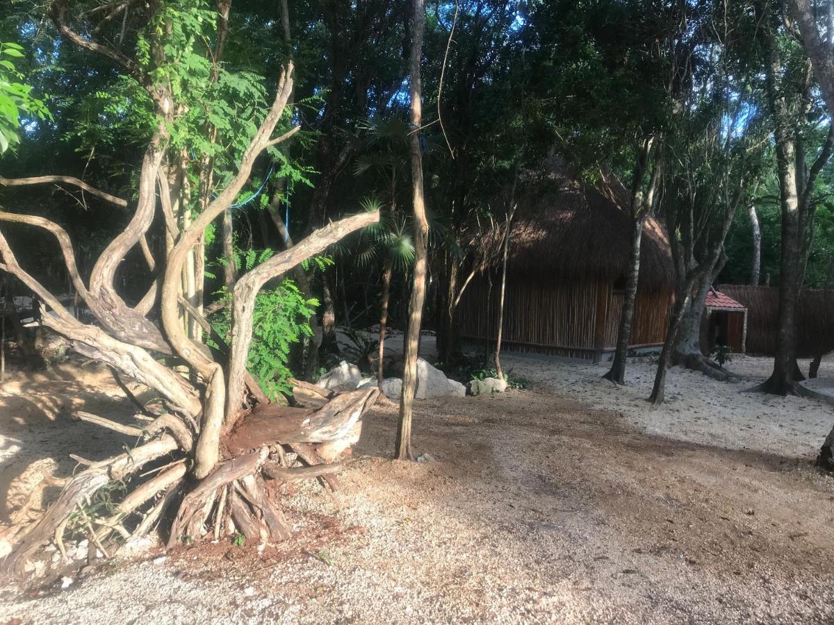 Nueve Tulum