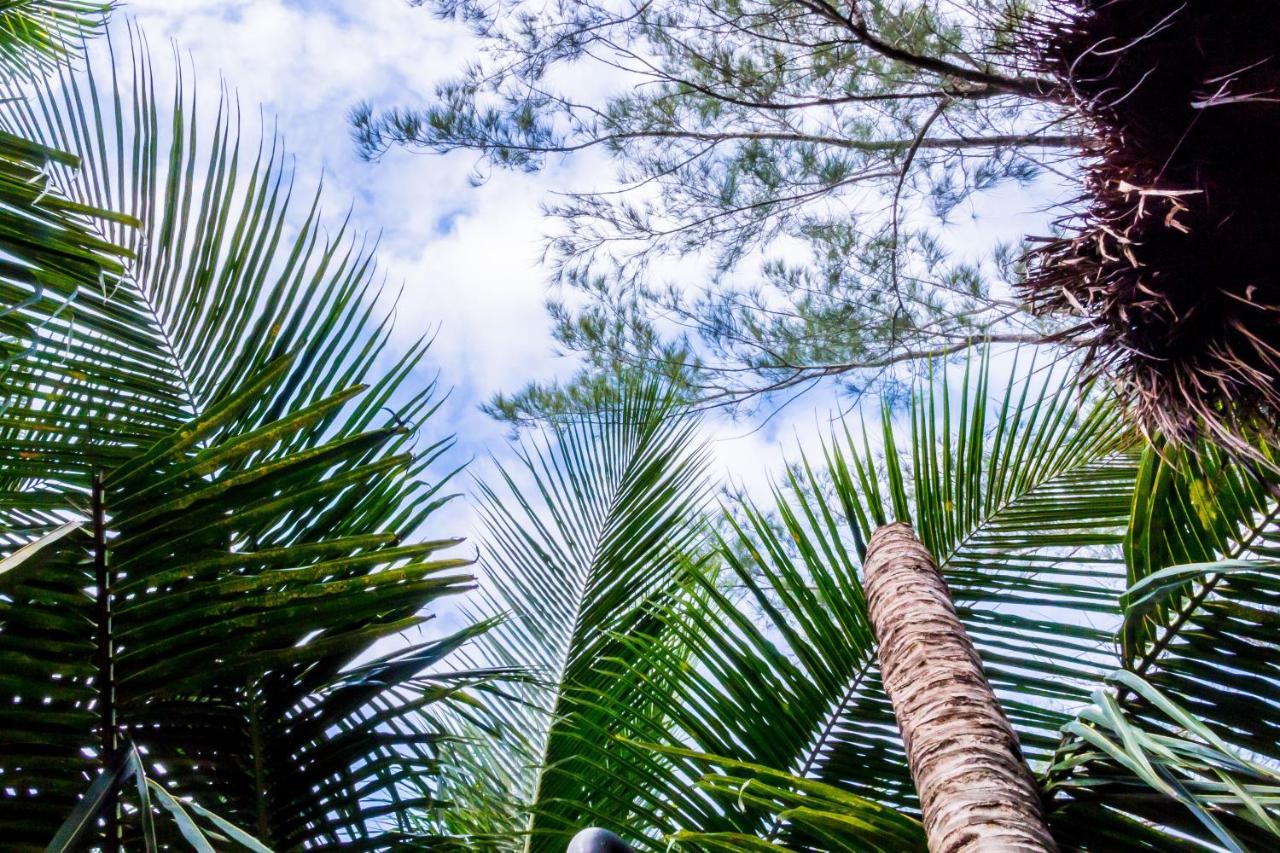 Bed and breakfast Oostel Smart - Playa Tulum