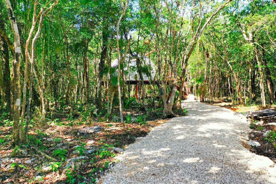 Energy Adult Lux Villas * Tulum