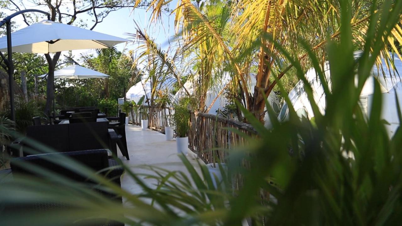 Campo de lujo Glamping With Private Mini Pool