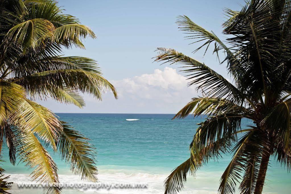 Rosa Del Viento Hotel