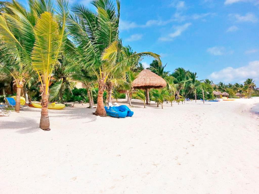 Villa Luxury Mar Caribe