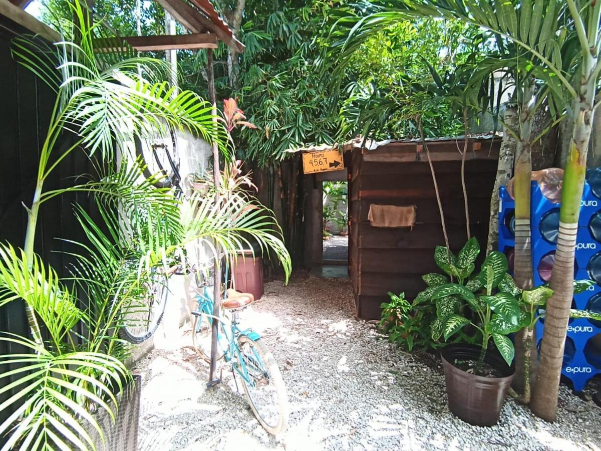 Primitive Selfcheck-in Adults Only Pensión Tulum