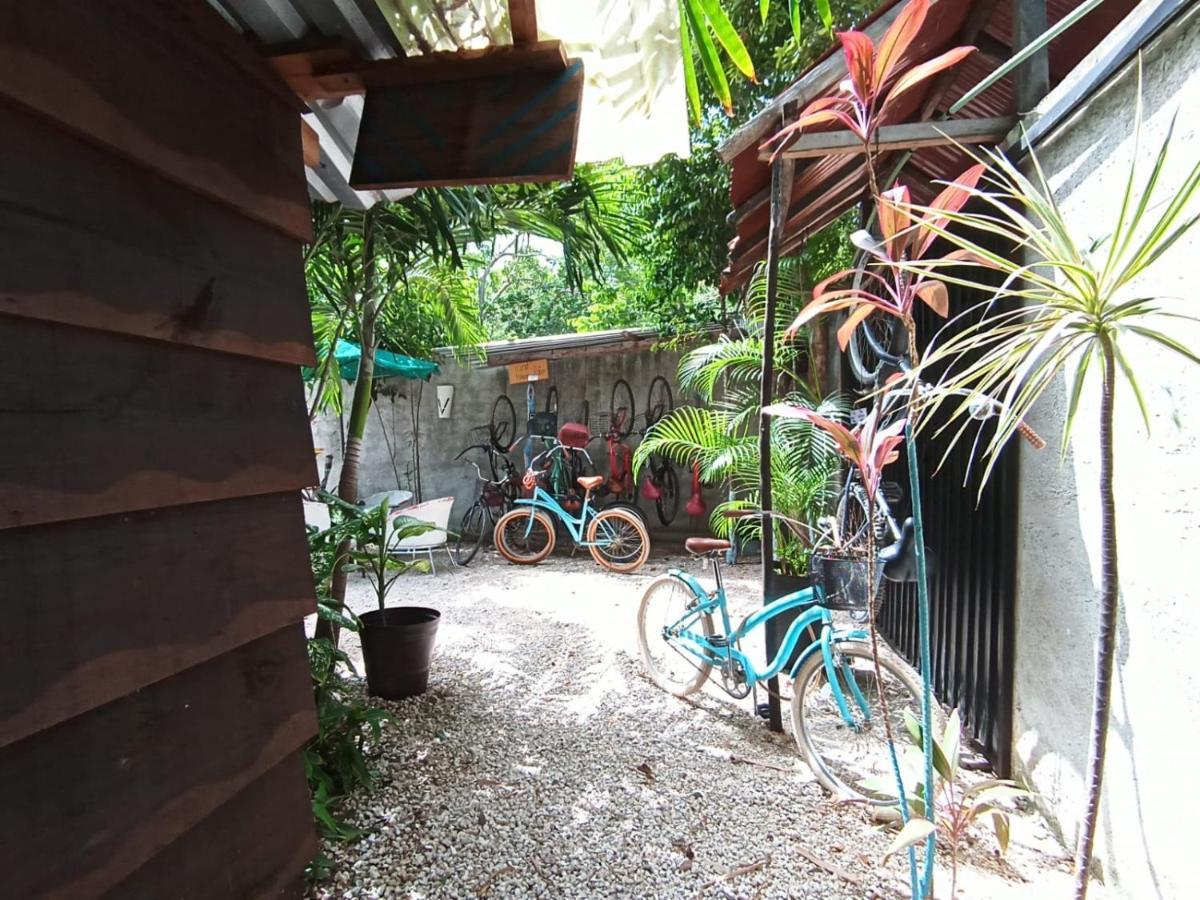 Primitive Selfcheck-in Adults Only Pensión Tulum