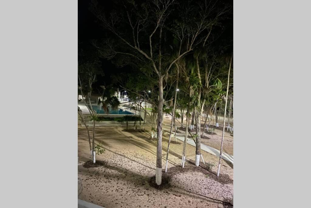 Jungla 22 Aldea Apartamento