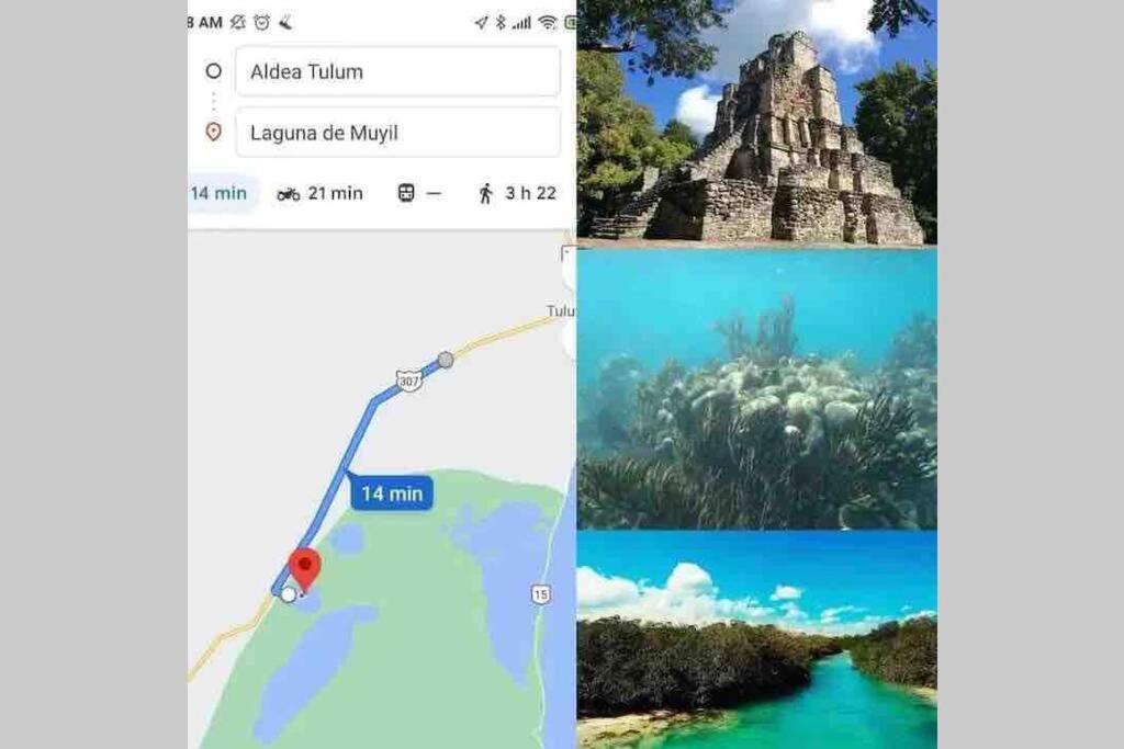 Jungla 22 Aldea *