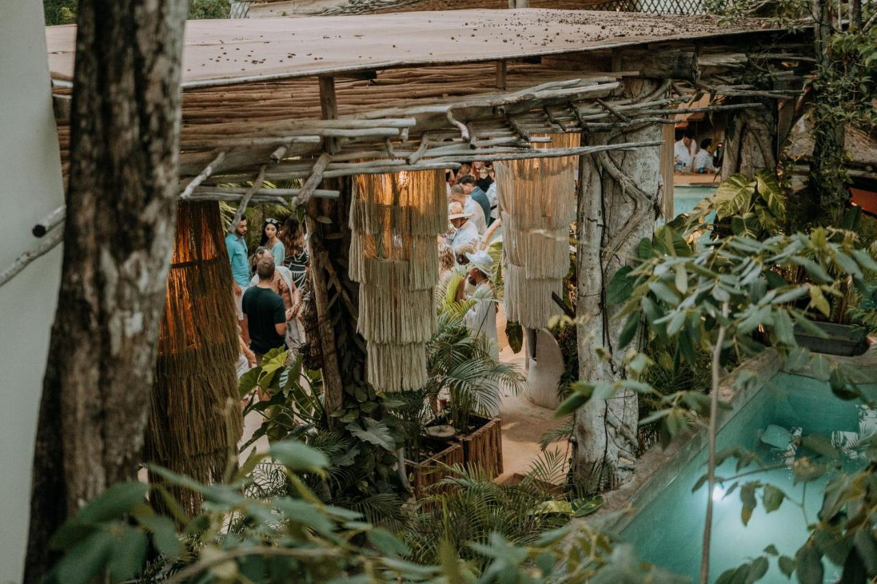 Hotel Orchid House Jungle 5*
