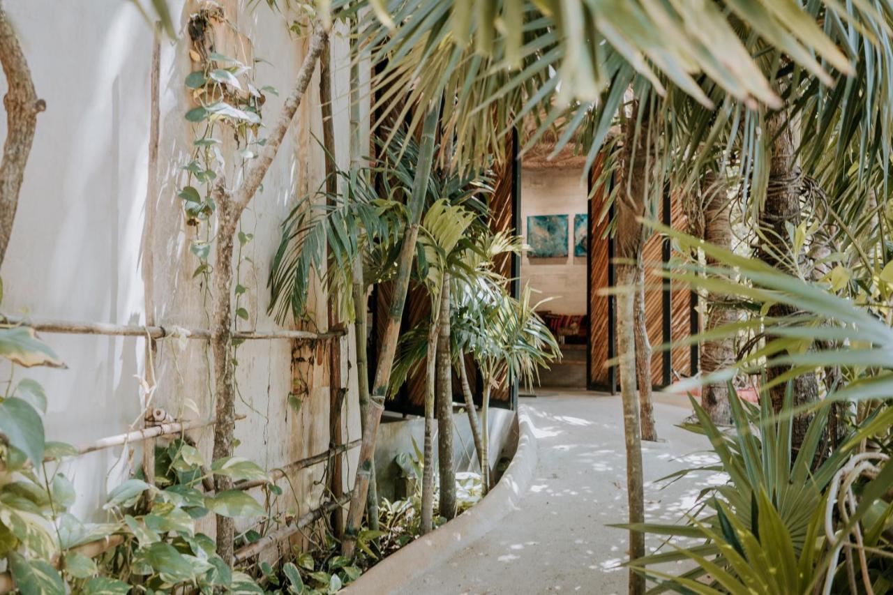 Orchid House Jungle 5*