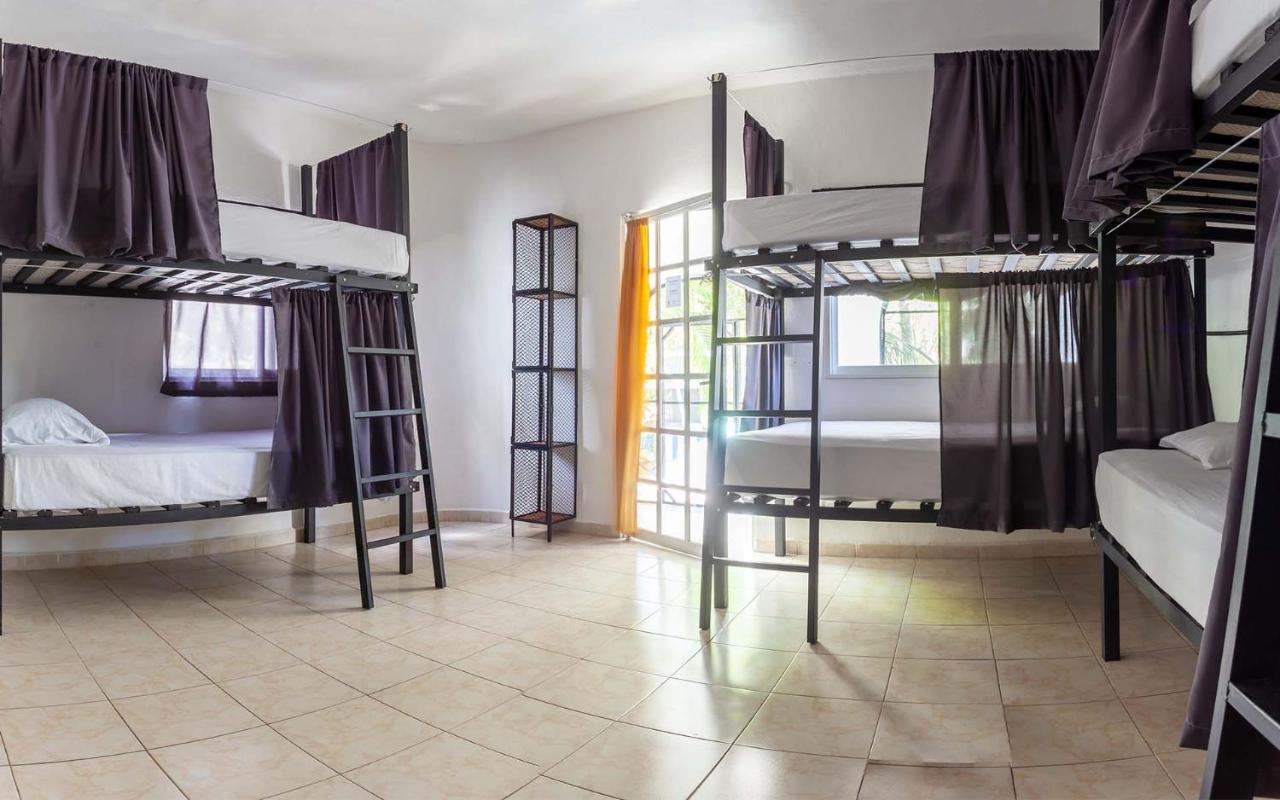 Oryx Hostal