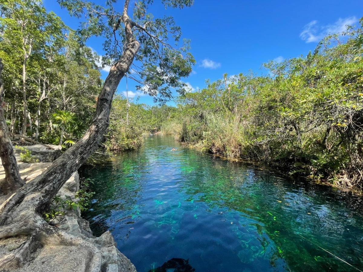 Сasa de vacaciones Casa SEMILLA TULUM best location to explore Cenotes Tulum