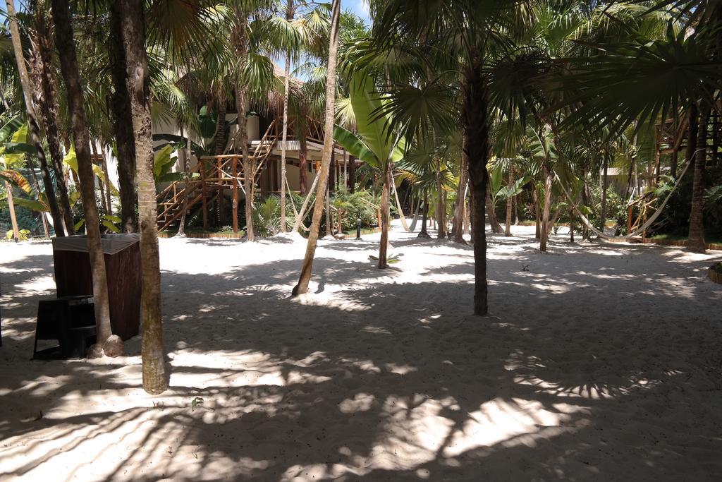 Rosa Del Viento Hotel Tulum