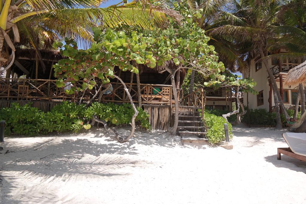 Rosa Del Viento Hotel Tulum