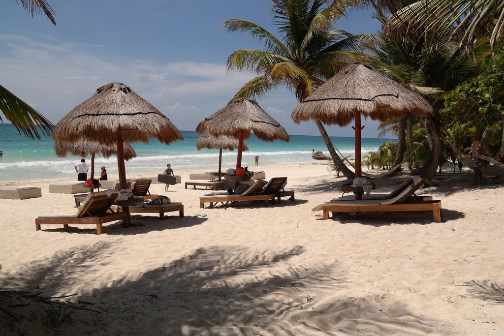 Hotel Rosa Del Viento Tulum