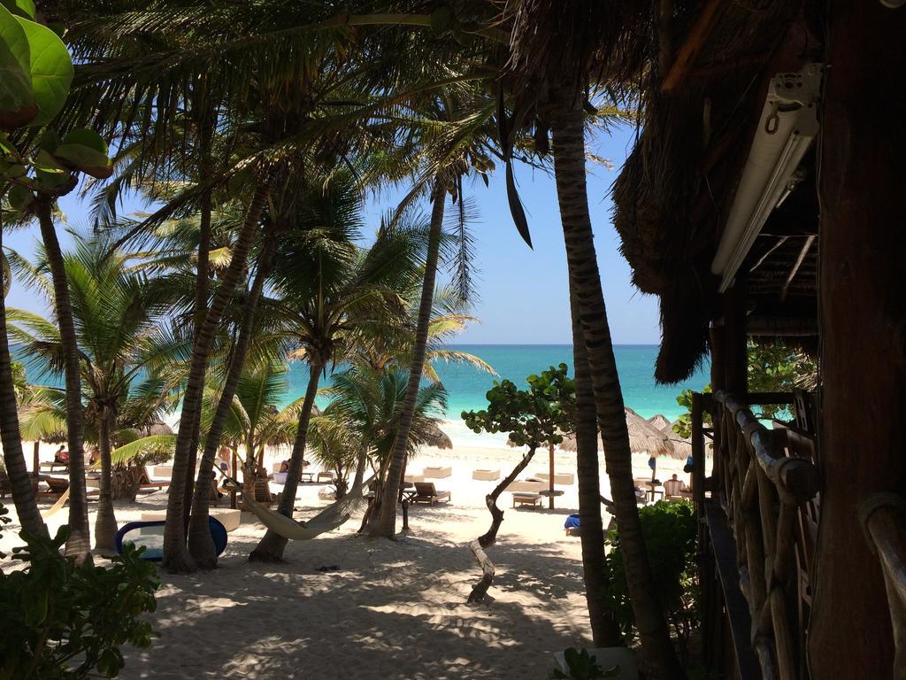 Hotel Rosa Del Viento 4*