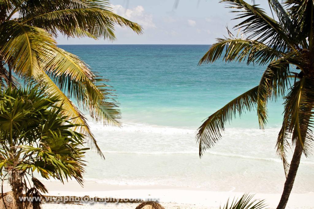 Rosa Del Viento Tulum