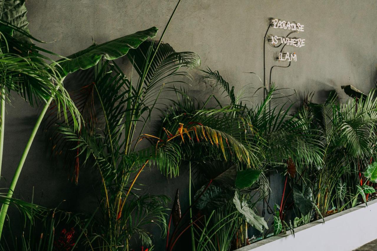 Shambalam Hostal