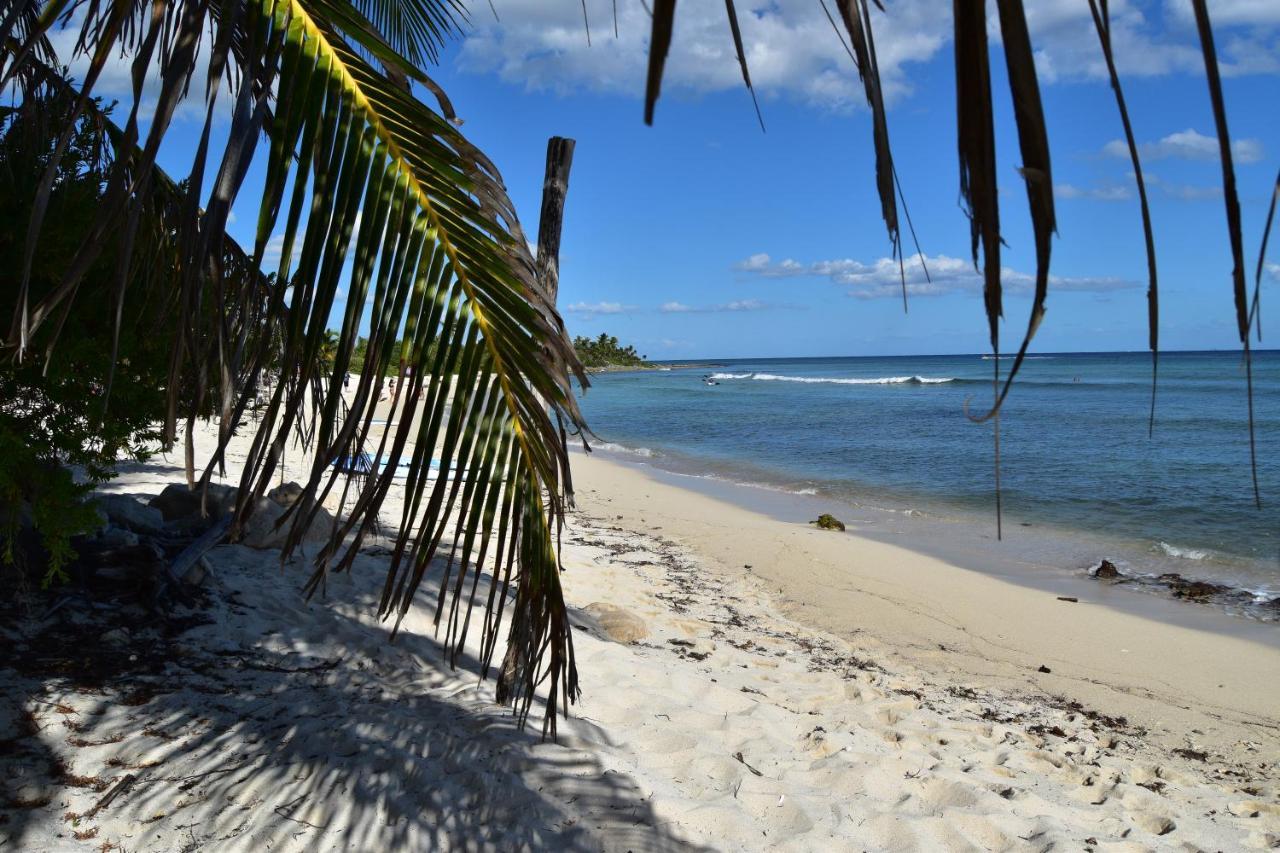 Alojamiento Casa En Apartamento Tulum